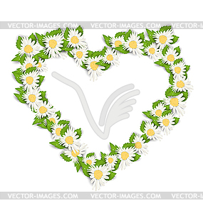 Camomile Flowers in Form Heart - vector clip art