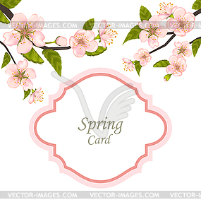 Spring Elegant Card with Blossoming Tree Branches - color vector clipart