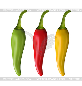 Set of Colorful Chili Peppers - vector image