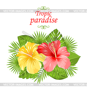 Beautiful Colorful Hibiscus Flowers Blossom and - vector clip art