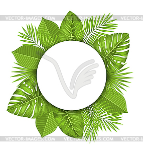 Clean Card with Text Space and Green Tropical Leaves - vector image