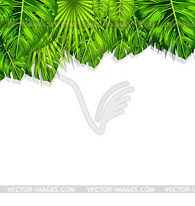 Natural Frame with Green Tropical Leaves - vector clip art