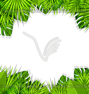 Summer Fresh Background with Tropical Leaves - vector image