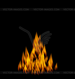 Realistic Fire Flame - royalty-free vector clipart