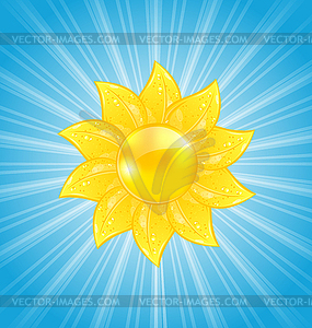 Sun and light rays - vector image