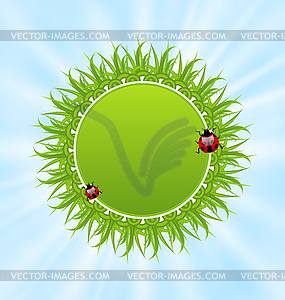 Spring freshness card with grass and ladybugs - vector image