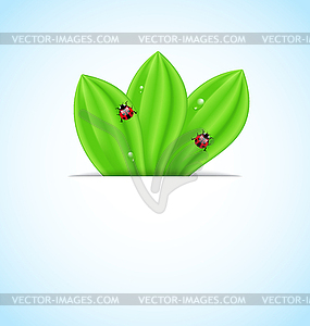Green leaves ecology fresh background - vector clip art