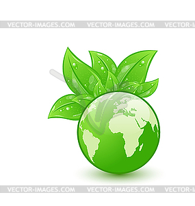 Global planet and eco green leaves - vector clipart