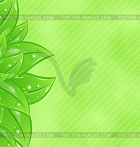 Ecology background with eco green leaves - vector image