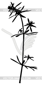 Plant grass - vector image