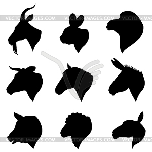 Farm animals heads set - royalty-free vector image