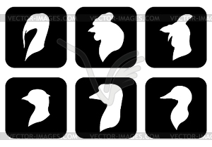 Farm icon birds heads set - vector image