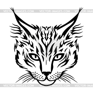 Maine Coon cat muzzle - vector clip art