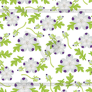 Nemofila цветочный узор бесшовные - иллюстрация в векторном формате
