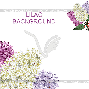 Lilac flowers bouquets background - color vector clipart