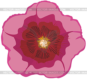 Цветочный стебель розы - векторный дизайн