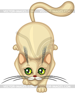 Cute Kitten hunts - vector image