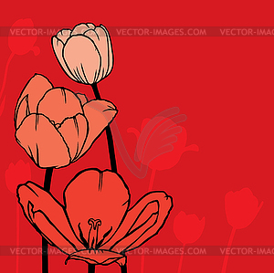 Greeting card with tulips - vector image