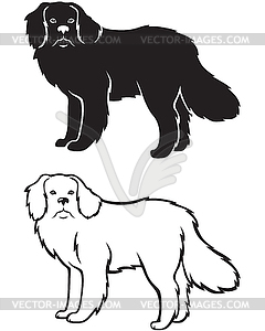 Contour and silhouette of Newfoundland dog - vector clip art