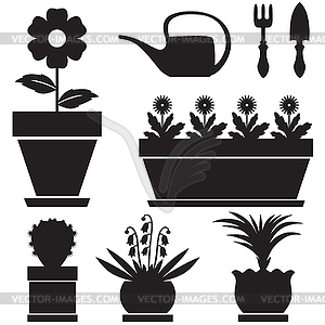 Pot plants - vector clip art