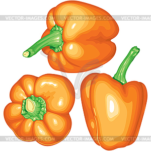 Orange peppers - vector image