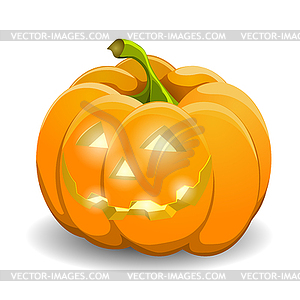 Pumpkin .  - vector clipart