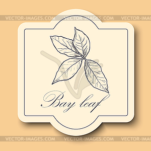 Raw bay leaves sketch - vector clipart