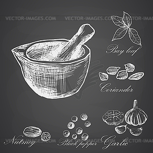 Set of organic spices - stock vector clipart