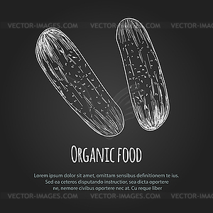 Cucumber - vector clip art