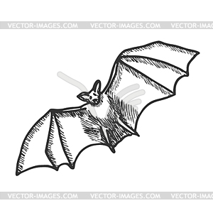 bat black and white clipart