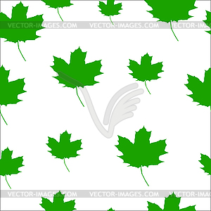 Autumn Set of green Maple Leaves, Version - vector clipart / vector image