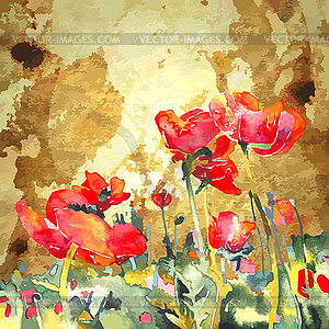 Original watercolor poppy flower in gold background - vector clipart