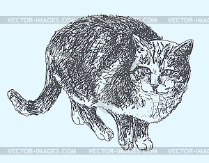 Digital sketch drawing of cat - vector clip art