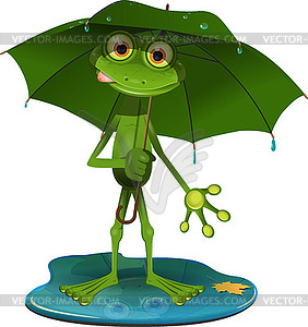 Frog with green umbrella - vector image