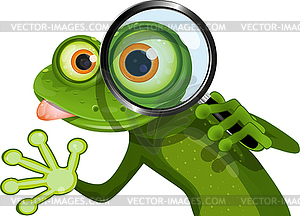 Frog and magnifying glass - vector clipart