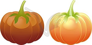 Two different orange pumpkin - vector image