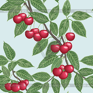 Seamless background with cherries - vector clipart