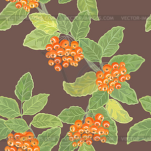 Seamless pattern with rowan - vector clipart