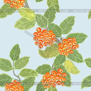 Seamless pattern with rowan - vector image