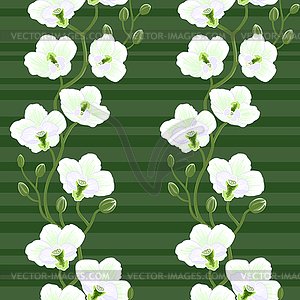 Seamless wallpaper with orchid flowers - royalty-free vector image