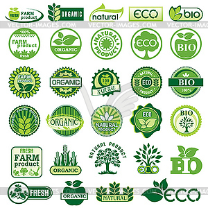 BIO and ECO label - vector image