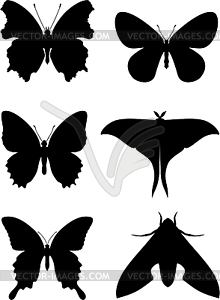 Butterfly set - vector clipart / vector image