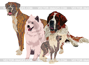 Group of dogs of different breeds - stock vector clipart