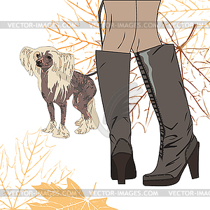 For a walk with the dog - vector clipart