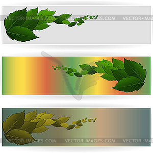 Foliage - vector image