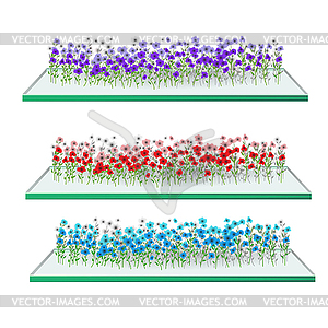 Цветы на шельфе - векторная иллюстрация