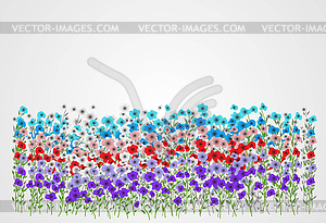 Flowers on shelf - vector image