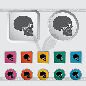 Anotomy черепа - изображение в формате EPS