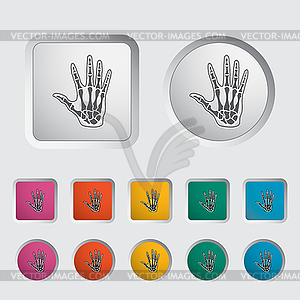 Anatomy hand - royalty-free vector image