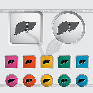 Liver icon - vector clip art